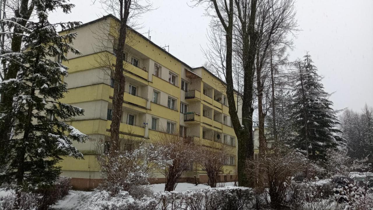 Apartament Alicja, Scisle Centrum, Orkana 3 ザコパネ エクステリア 写真